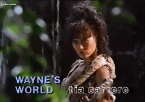 Waynes World 90S GIF - Find & Share on GIPHY