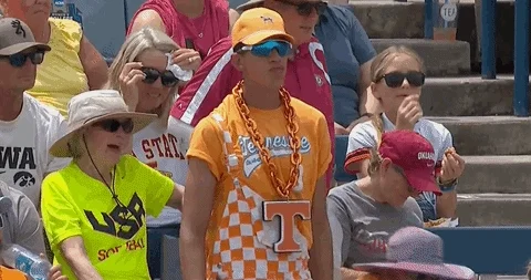 Tennessee Volunteers Softball GIF