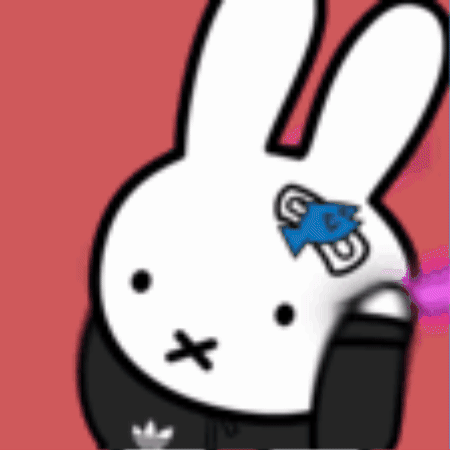 Noseedkiwi GIF