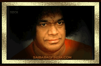 sai