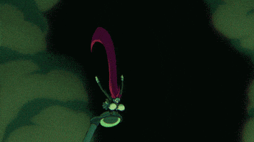 Animated GIF