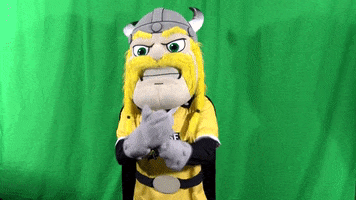Lets Go Win GIF by Northern Kentucky University Athletics