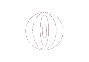 Circles Sticker