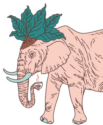 Somaho Speciality Coffee Sticker