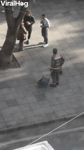 Street Sweeper Plays With Stray Kitty GIF by ViralHog
