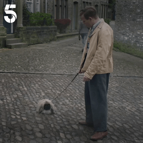 Hurry Up Dog GIF by Channel5UK