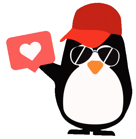 App Web Sticker by Ushuaia Creative