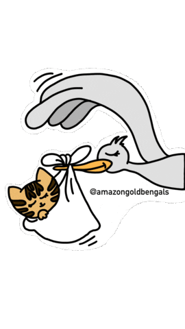 Cat Kitten Sticker