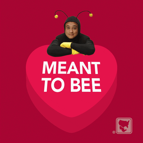 Valentines Day Freebee GIF by IBC Bank