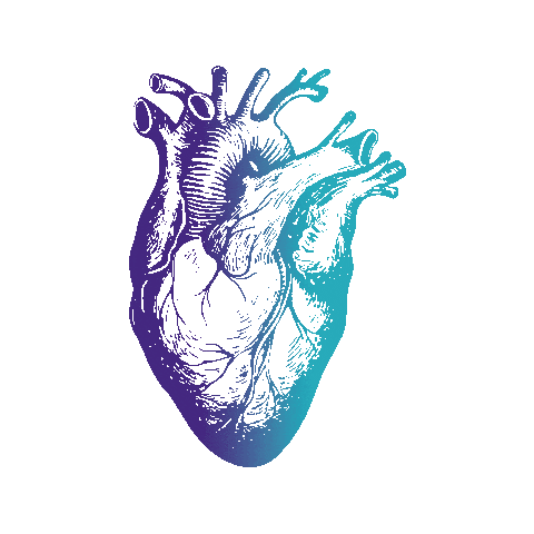 Jaraguadosul Sticker by Hospital São José Jaraguá do Sul