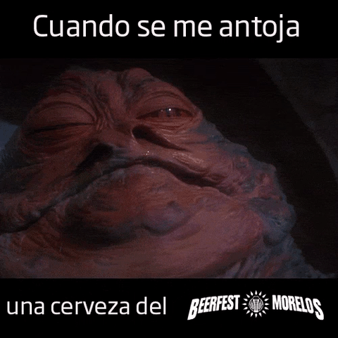 rodrigozamorabalderrama cerveza morelos beer fest GIF