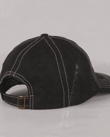 Fashion Hat GIF by Pizza Skateboards