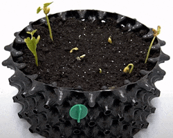 Air-Pot GIF