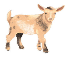 Goat Sticker
