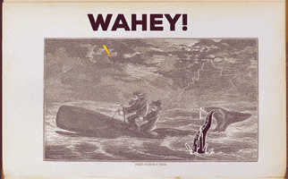 Whale GIF