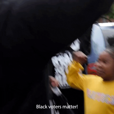 Black Voters Vote GIF by Black Voters Matter Fund