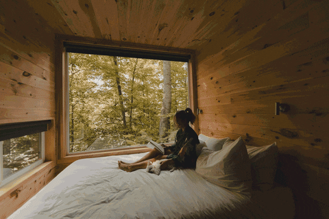 Getaway Cabin GIF by Ash Branding Co - Find & Share on GIPHY