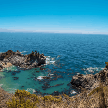 Vajira Samararatne GIF