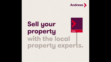 Andrews Sevenoaks GIF