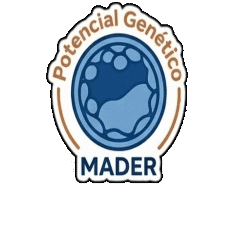 Abs Boi Sticker by Mader Embriões In Vitro