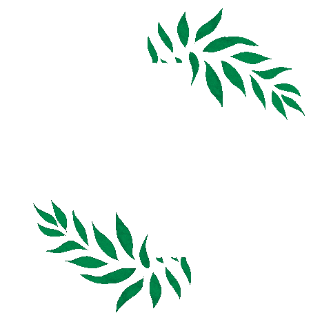 Animated Sticker