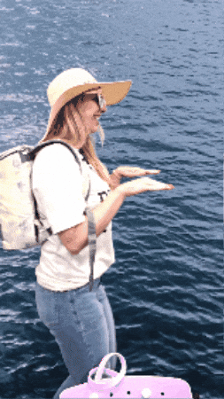 Excited Summer GIF by Realty Texas