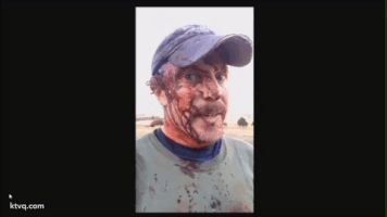 georgemills-9cd1 bear GIF