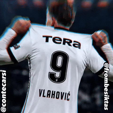 Besiktas GIF
