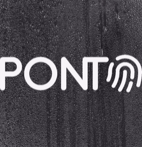 Registro Ponto GIF