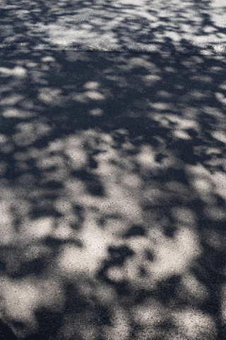 Art GIF