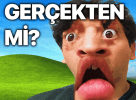 Gerçekten Mi GIF