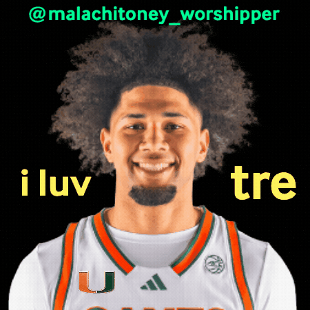 Basketball Miami GIF