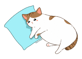 Cat Sticker