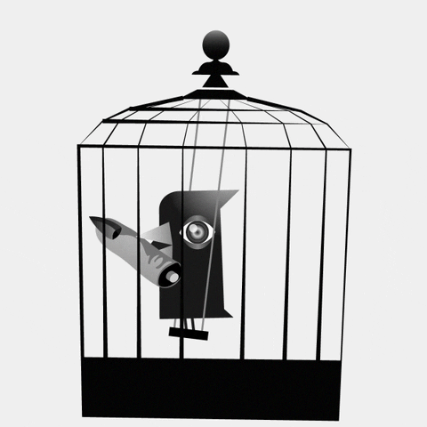 filippoalloisio bird cage GIF
