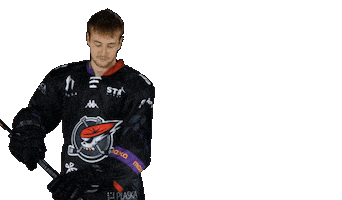 Střelec Sticker by Piráti Chomutov