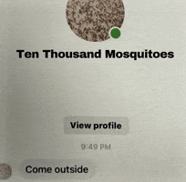 Mosquito Come GIF