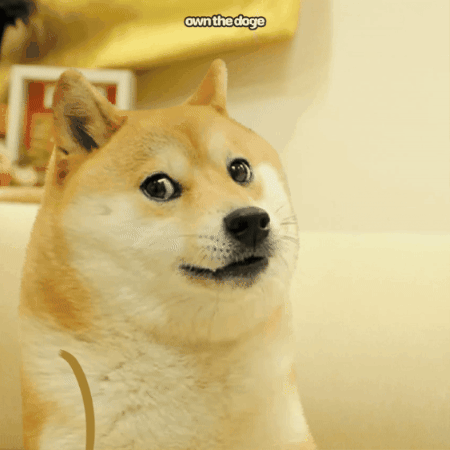 Own The Doge GIF