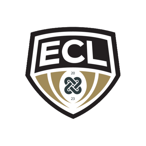 Rome City Institute Sticker