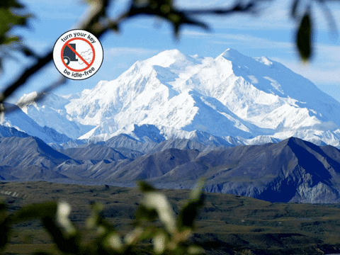 Riley Parks GIFs - Get the best GIF on GIPHY