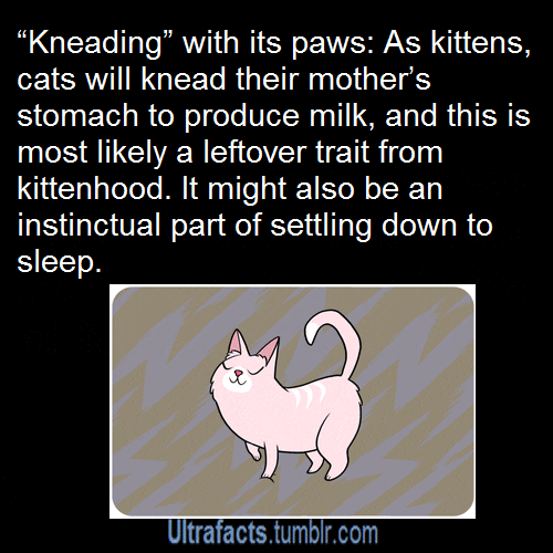 Leftover Parts GIFs Get the best GIF on GIPHY