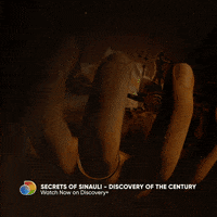 200.gif?cid=fc005b08e6e88374fc624f2938f957b7a64a90ba897e22a8&rid=200.gif&ct=g