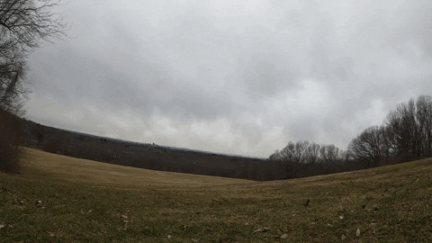 giphy.gif?cid=790b76118d4054e325b9ea58ae