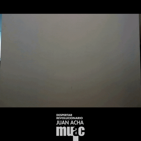 diegofigueroa-31a3  GIF