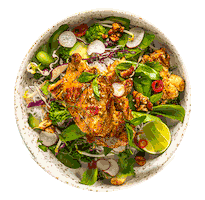 Body And Soul Vegan Sticker by Jones the Grocer