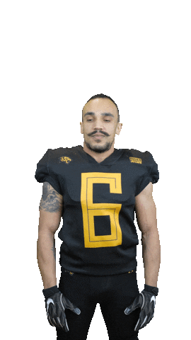 Léopards de Rouen - Football Américain Sticker