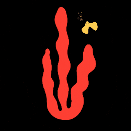 Detskeplavanie GIF by Raja – škola športu