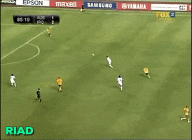 iraq  GIF