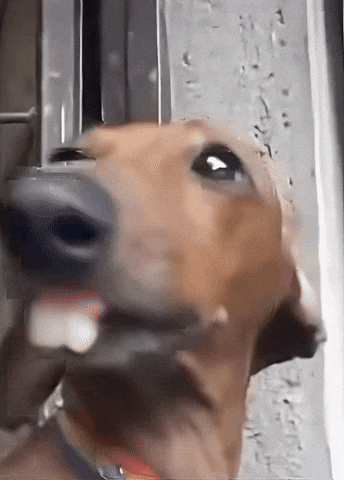 Greatozzz GIF