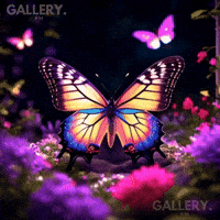 Animated Butterflies GIFs - Find & Share on GIPHY