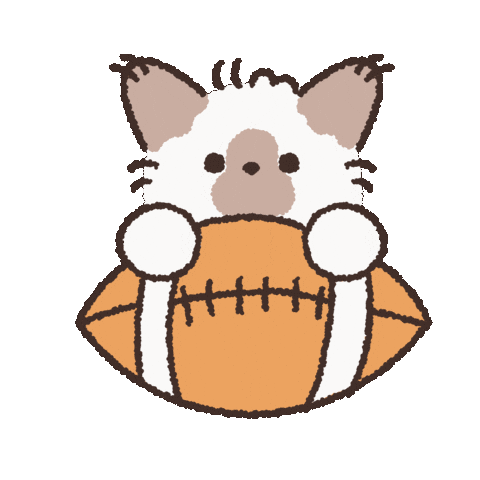 American Football Ok Sticker by koimoffee